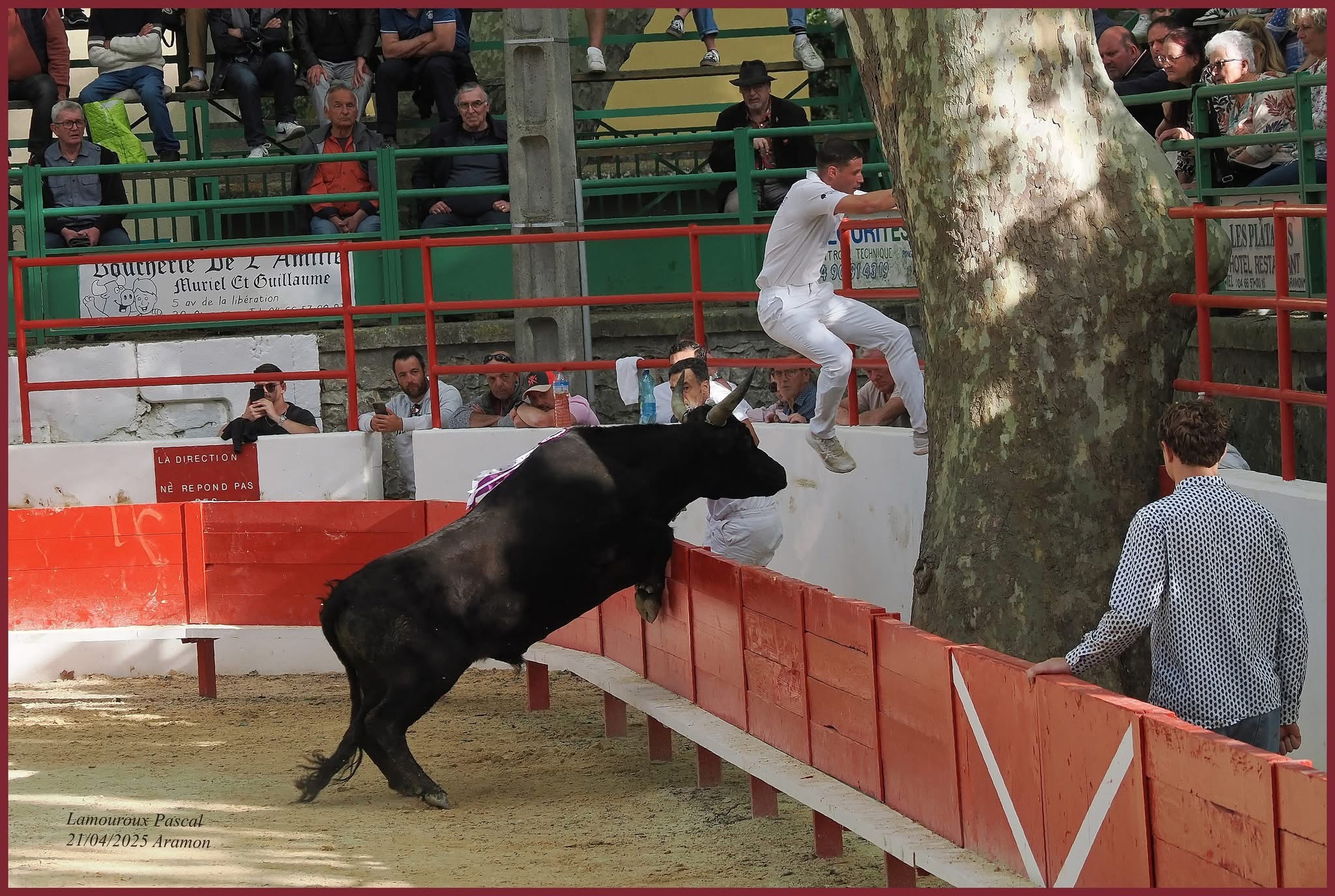 Club Taurin Aramonais 2025